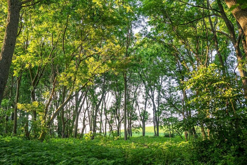 Fillmore 48.25 New Updates-40