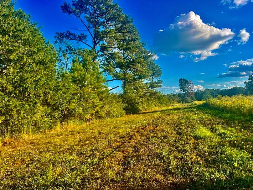 67C28BEE-34E4-425D-99E5-2C83408378C1_1_201_a