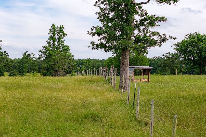 Holman Ranch-37