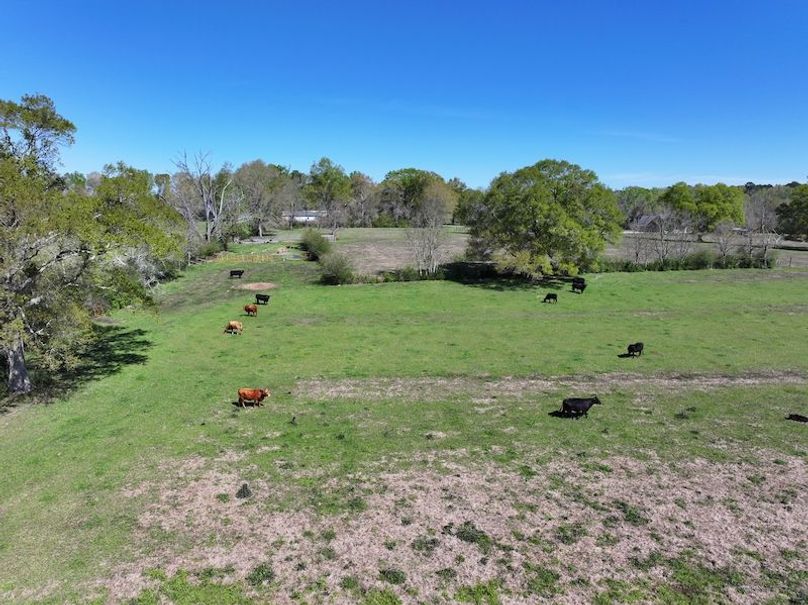 dji_fly_20260317_094108_0413_1773768872380_photo