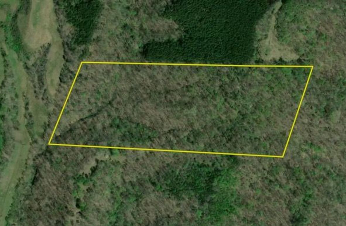 Screenshot 2026-01-29 at 1.03.02 PM