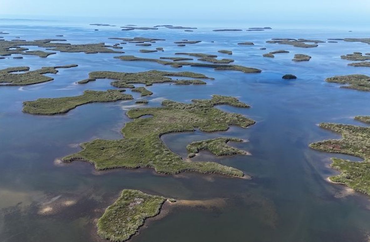 17.17ac, Citrus, Josiah Ronco00