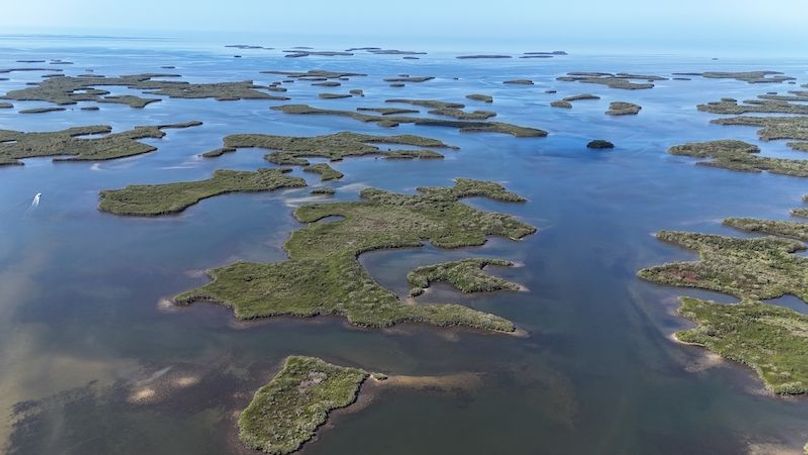 17.17ac, Citrus, Josiah Ronco00