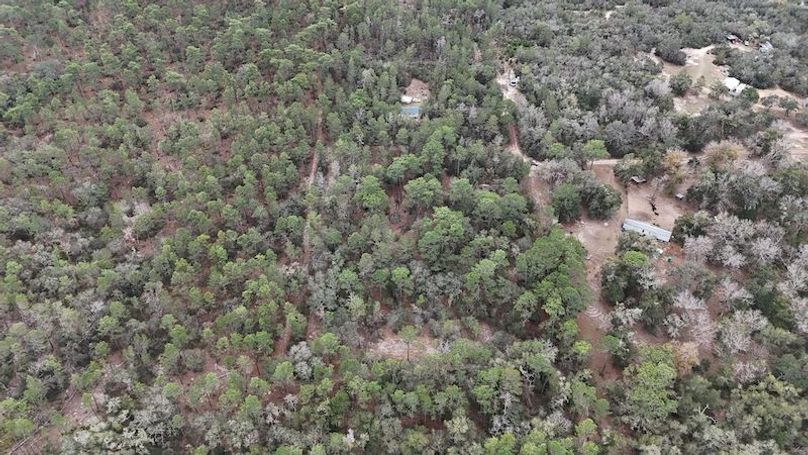 dji_fly_20251230_114728_0041_1767112927406_photo