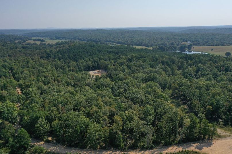 DJI_0183