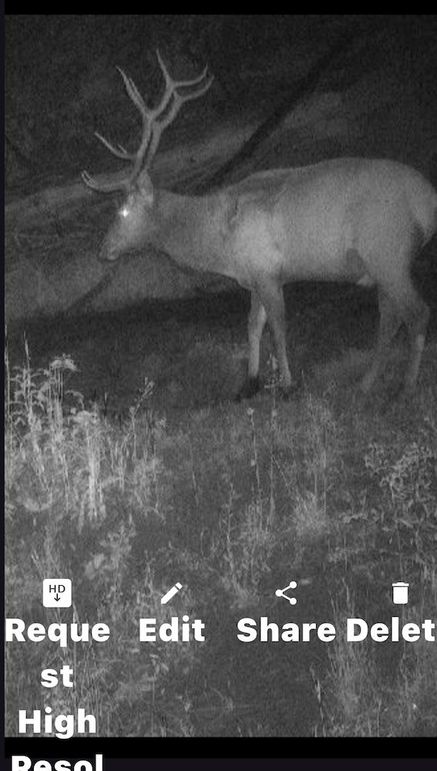 3BE7E8FB-4B12-49F1-B545-6FEEE736FA9F