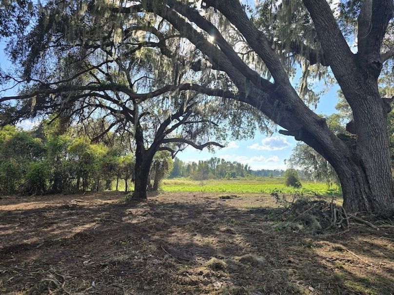 21ac, Sumter, Reelvest11