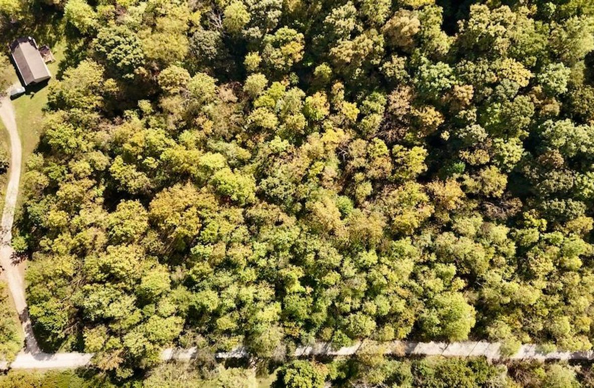 dji_fly_20251001_121116_0737_1759351947382_photo