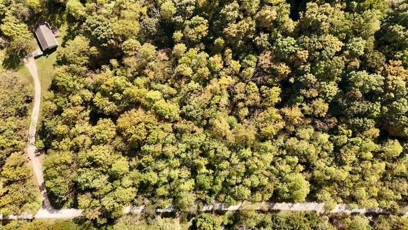 dji_fly_20251001_121116_0737_1759351947382_photo