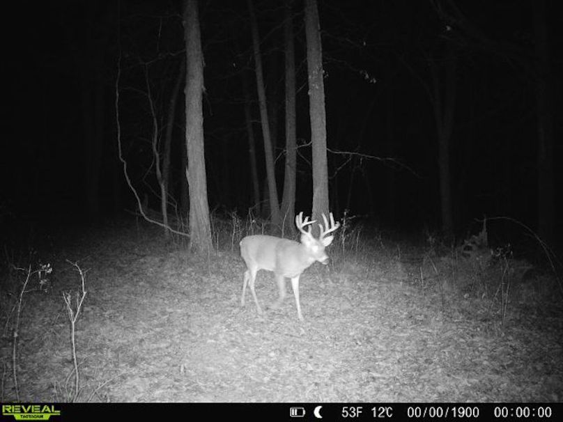 860516063775377-0-3-01052026183050-V-W1053368