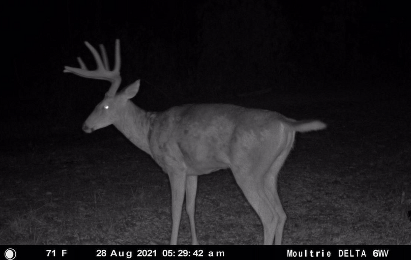 Screenshot 2023-07-27 at 9.57.13 PM