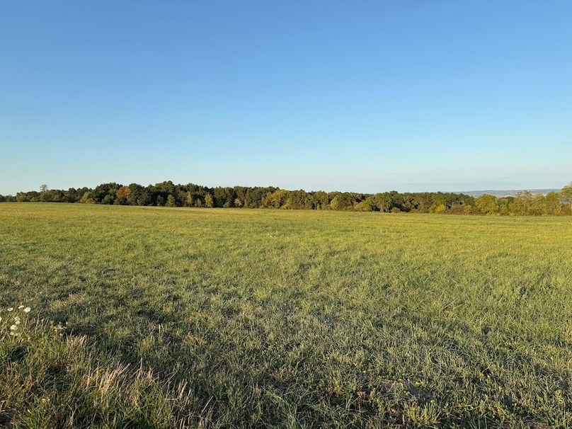 Copy of Wood Tract 3 Photo 11