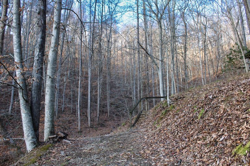 033 more nice timber in the head of the valley