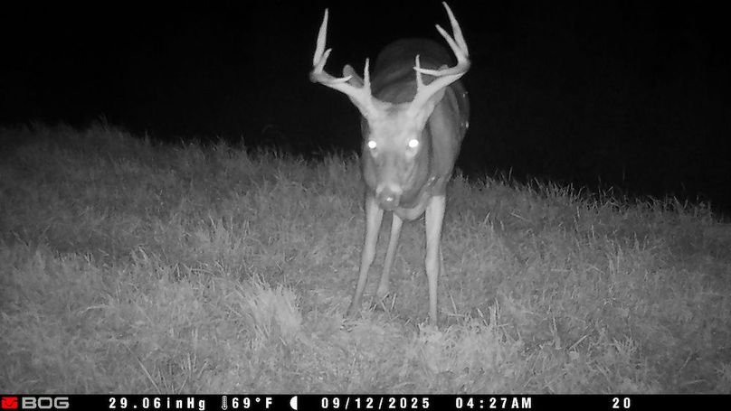TRAIL CAM 3