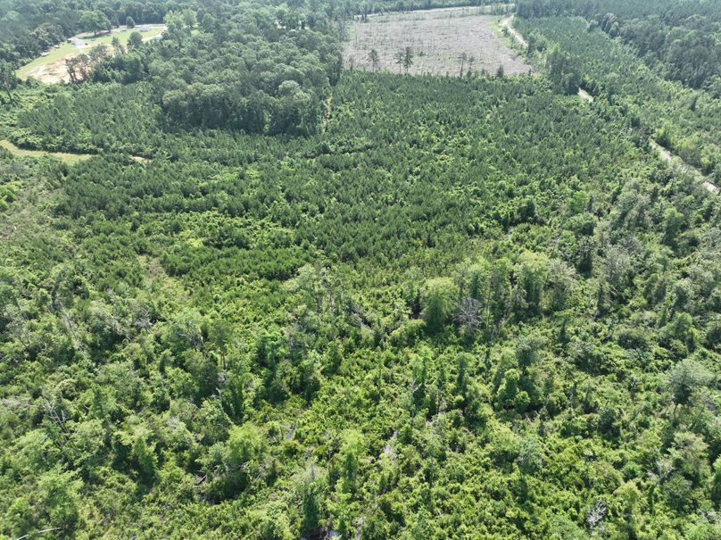 dji_fly_20230516_110024_113_1684333488356_photo