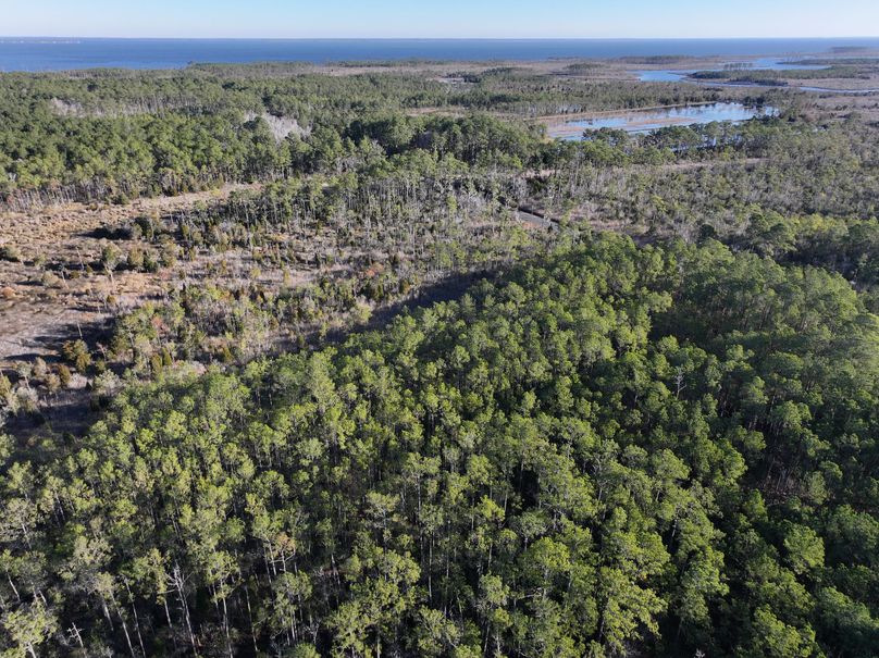 dji_fly_20231220_090314_0005_1703094073105_photo