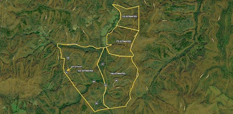 Screenshot 2025-08-19 at 1.16.53 PM