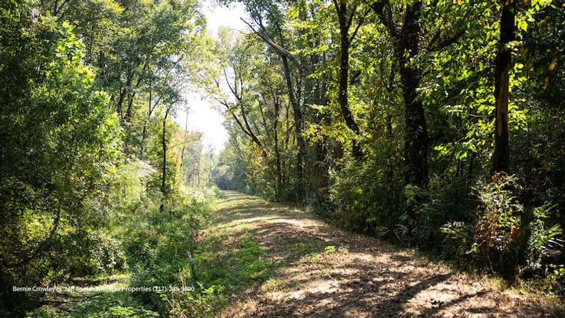 Tallahatchie 847 Messina-44