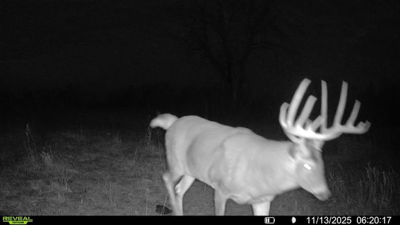 016578001892675-33-4-11132025062017-SYFW19464