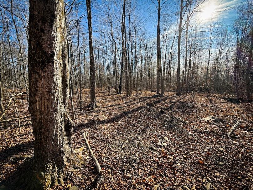 Chemung_31.75_Seymour_South_Photos_22