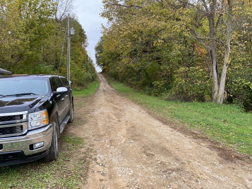 pics from late 2021 and early 2022. New plots being planted in Aug 2023 for new pics (3)