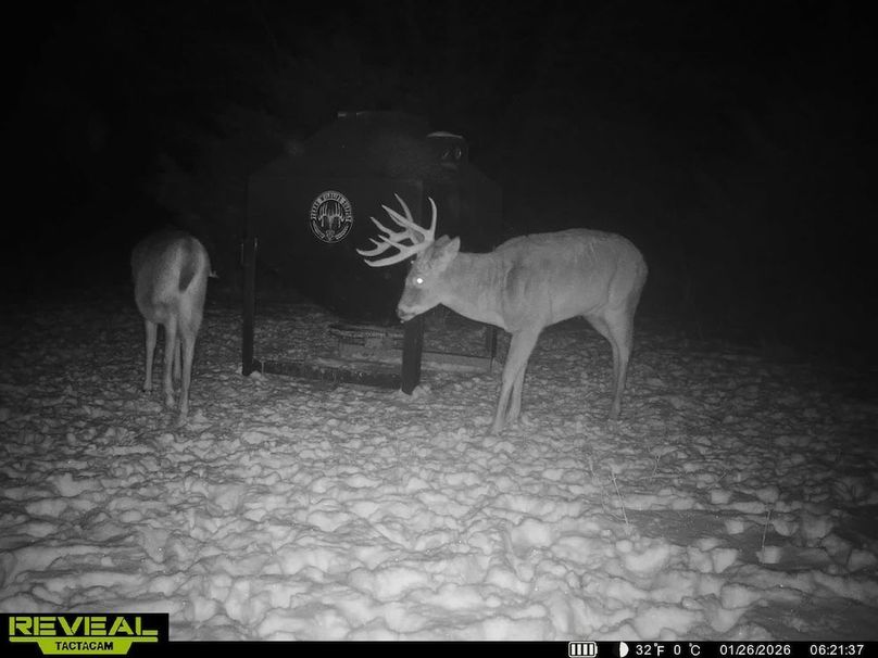 864049055449112-100-2-01262026075157-HD-SYEW8806