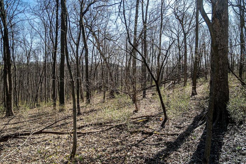 Jo Daviess IL 23.5_22