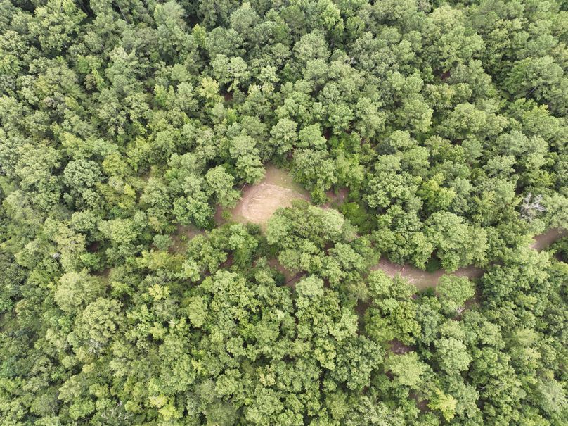 dji_fly_20230727_170856_409_1690507674138_photo 4