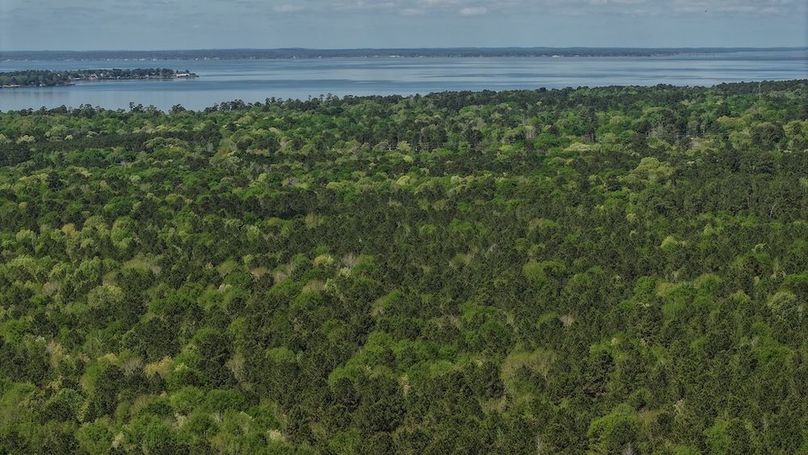 DJI_20260327115519_0036_D