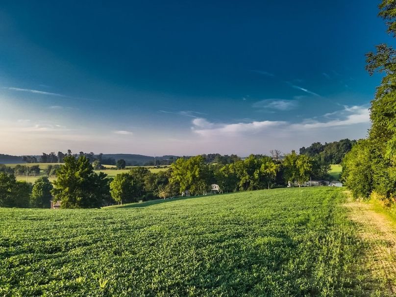 9 York 21.78 Krebs-06