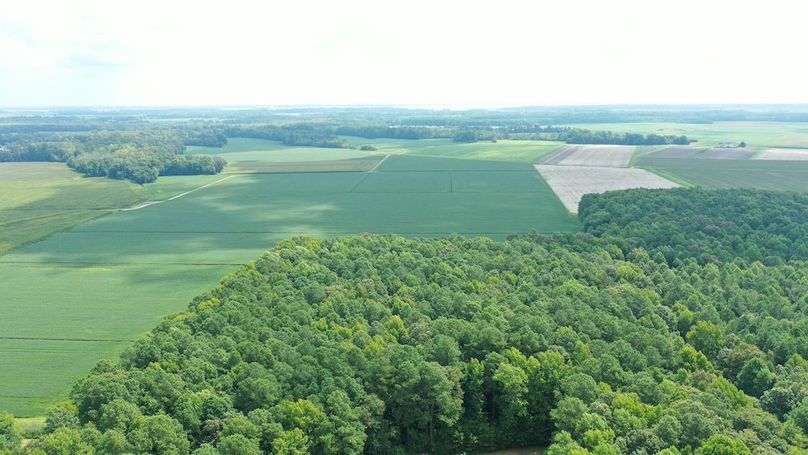 DJI_0582