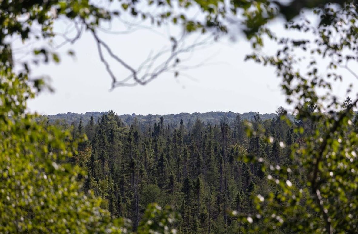 Mackinac 320 Copenhaver-5