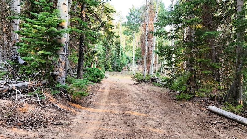 DJI_20250726191609_0332_D