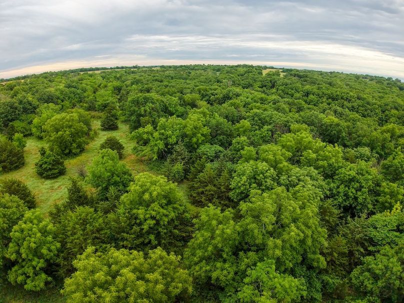 DJI_20250630071737_0314_D