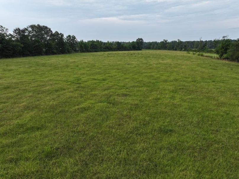 dji_fly_20250730_082052_0300_1753888804337_photo