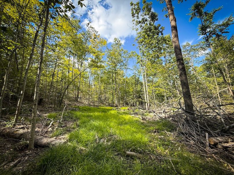 Tompkins_103.12_SusquehannaLandCo_Photos_9