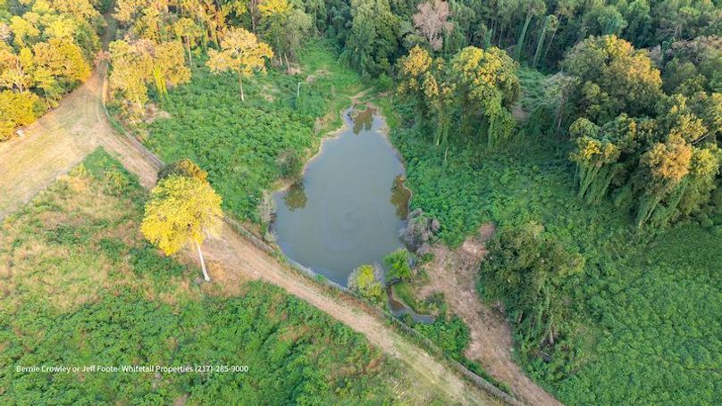 Tallahatchie 847 Messina-41