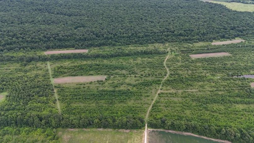 DJI_20240720044014_0005_D