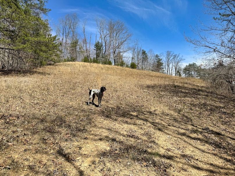 023 field assitant, Ely is hard at it in these beautiful fields