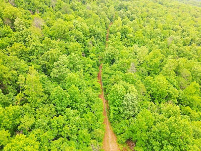 DJI_0338