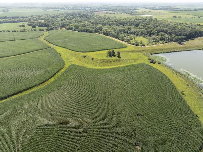 DJI_20250729101636_0065_D