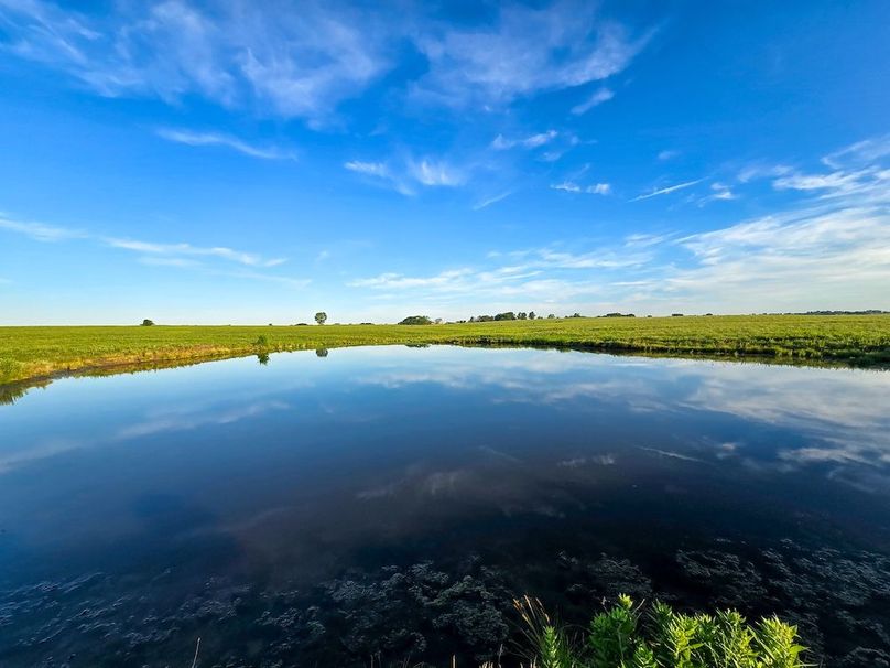 Copy of 20250625_070728