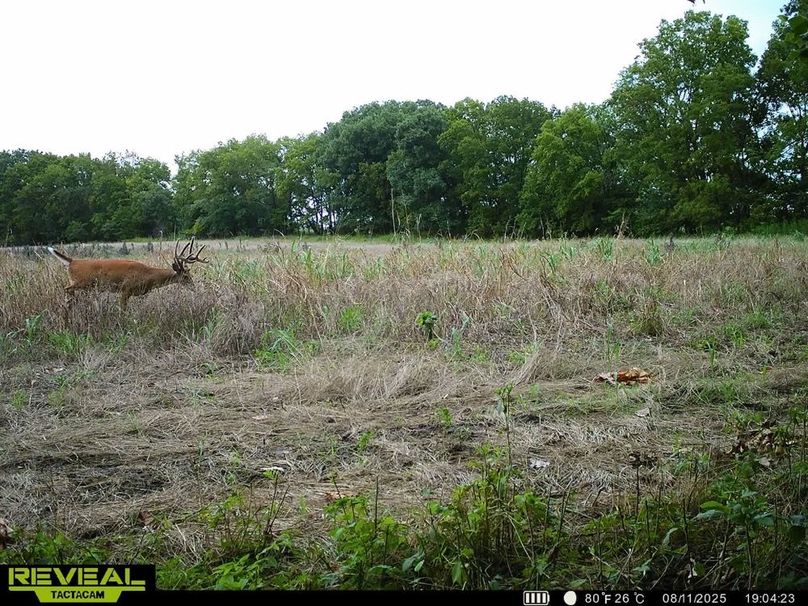 860322063943986-100-3-08122025032802-HD-SYEW1653