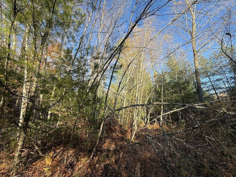 Oswego_26.28_Koehler Photo 16