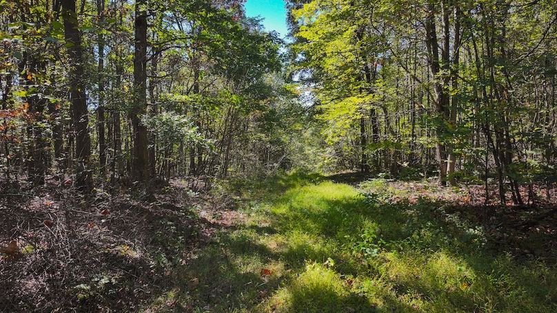 Fayette, 199, Hostetler-04