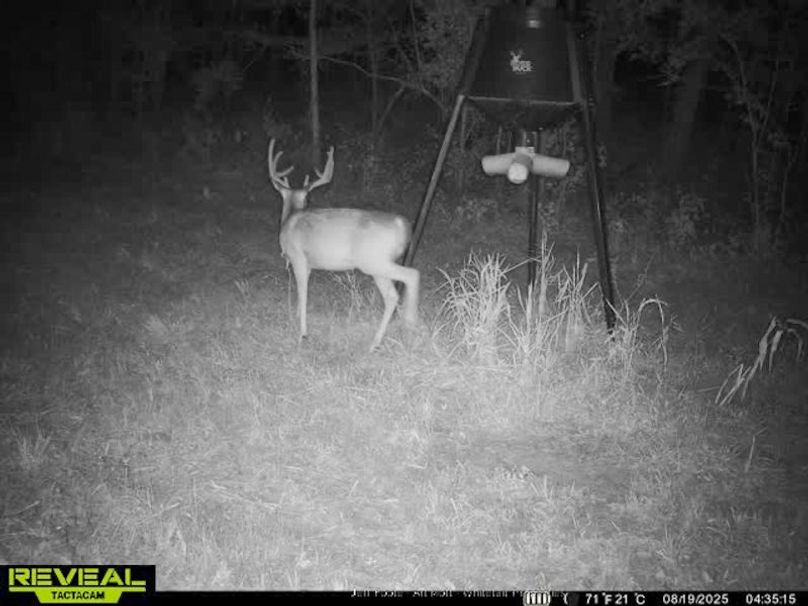 Holmes County - 108 - Rodriguez-67