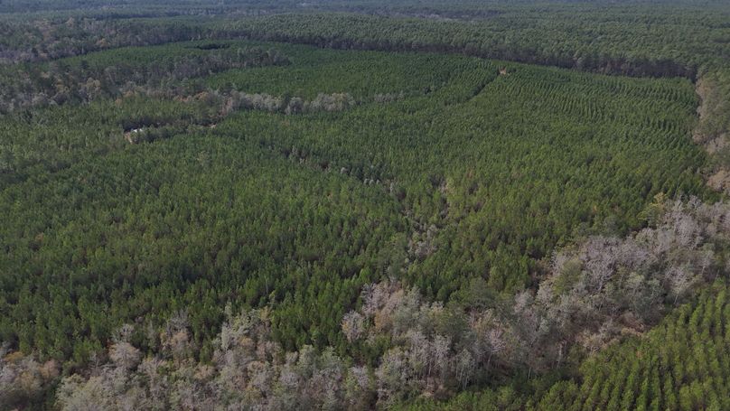 DJI_20231214123804_0013_D