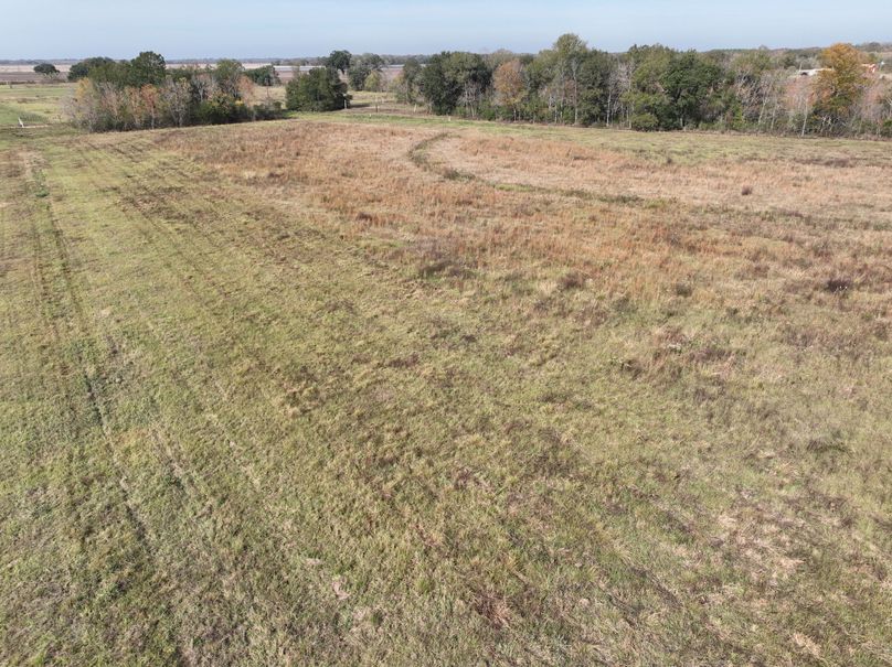 dji_fly_20231203_113606_536_1701631173692_photo