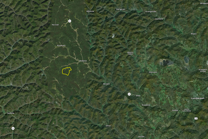 Screenshot 2024-09-14 at 2.31.24 PM