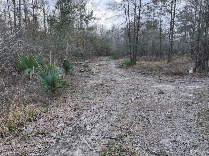 dji_fly_20260212_135904_0040_1771284251239_photo